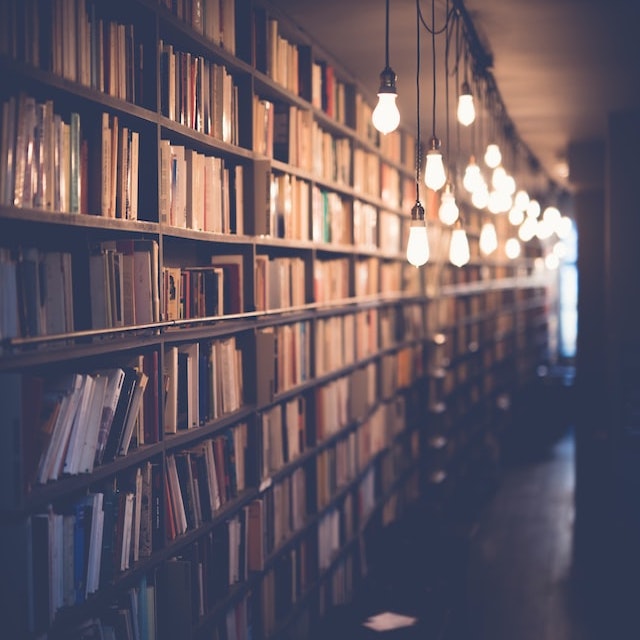 maude-frederique-lavoie-EDSTj4kCUcw-unsplash